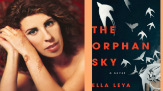 Ella Leya and her debut novel. Photos: Goodreads and Amazon