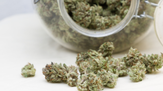 Is marijuana kosher? Photo: Bigstock