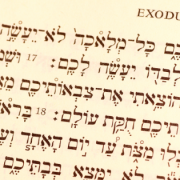 The Exodus and 'Super-Intelligent Design' of the Five Books of Moses. Photo: Bigstock