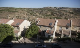 View of a residential street in Efrat. Photo: Hadas Parush/Flash90
